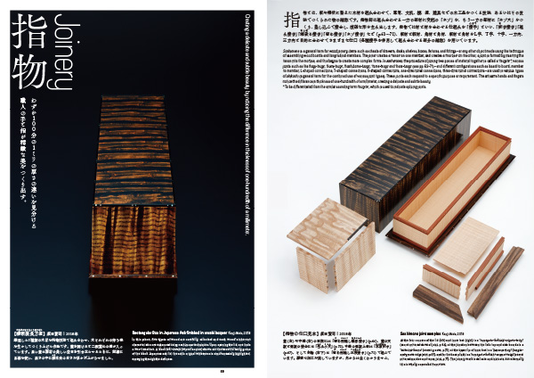 Image record illustrée