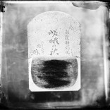 Automne "de lame d'avion de Saga" de sendaitsuruzeshu